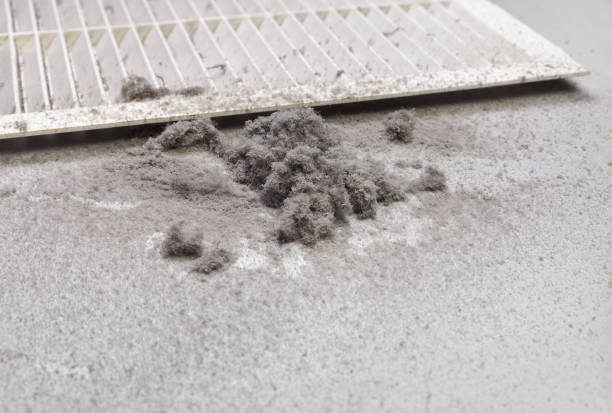 Best HVAC Maintenance and Cleaning  in Maple Park, IL